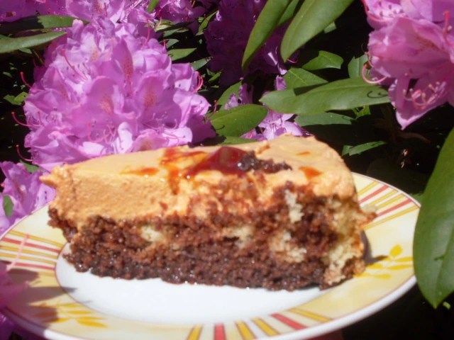 БЪРЗА ТОРТА "Пламък"