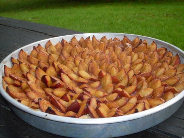 СЛАДКИШ СЪС СИНИ СЛИВИ ИЛИ ZWETSCHGEN&nbsp;KUCHEN