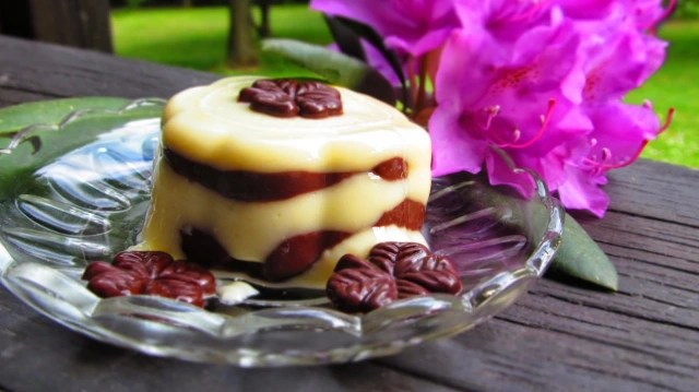 KUHFLECKENPUDDING Двуцветен пудинг