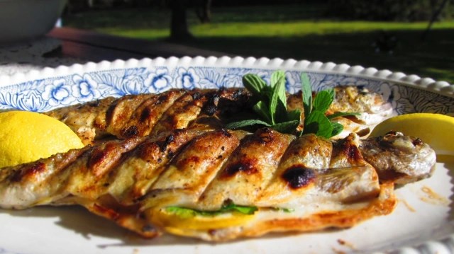 ПЪСТЪРВА НА СКАРА