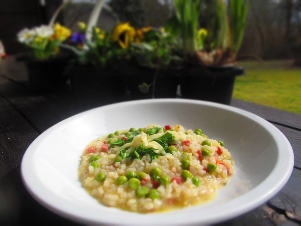 РИЗИ – БИЗИ