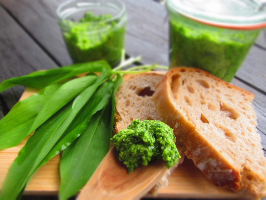 ПЕСТО ОТ ЛЕВУРДА или&nbsp;Bärlauchpesto