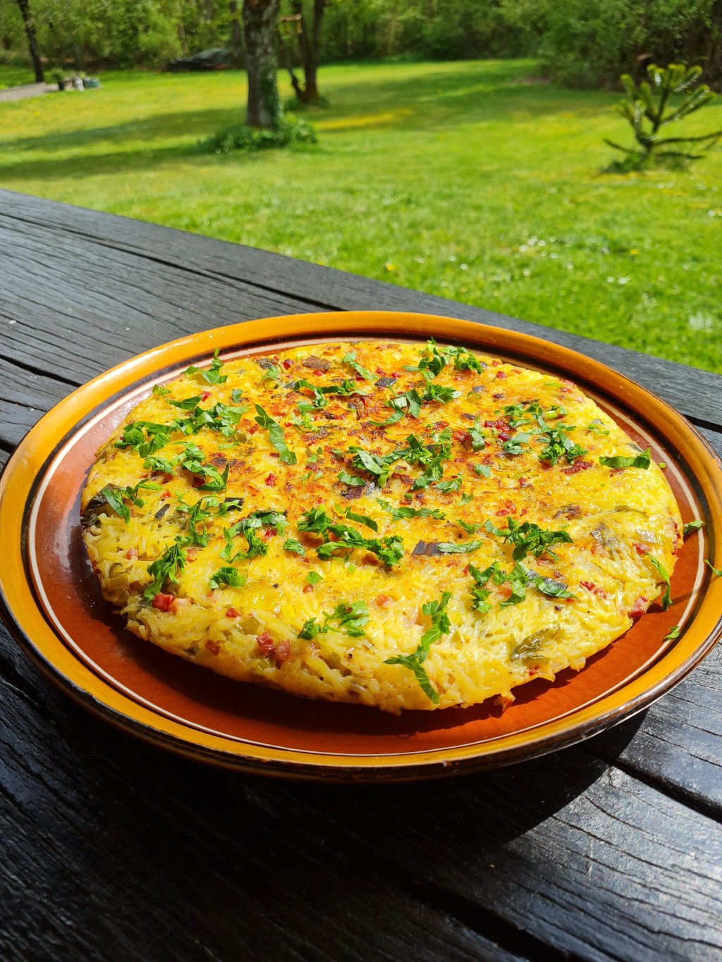 Schales, Dibbelabbes, „гол“ пататник или картофен специалитет от Хунсрюк, Саарланд или&nbsp;Родопите