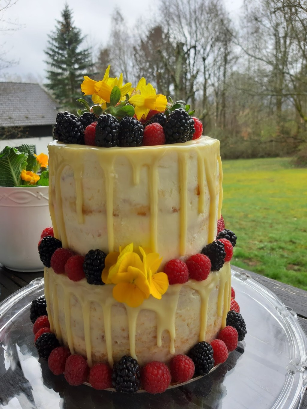 ГОЛА ТОРТА С ПЛОДОВЕ, БЯЛ САХЕР И БЯЛ&nbsp;ШОКОЛАД