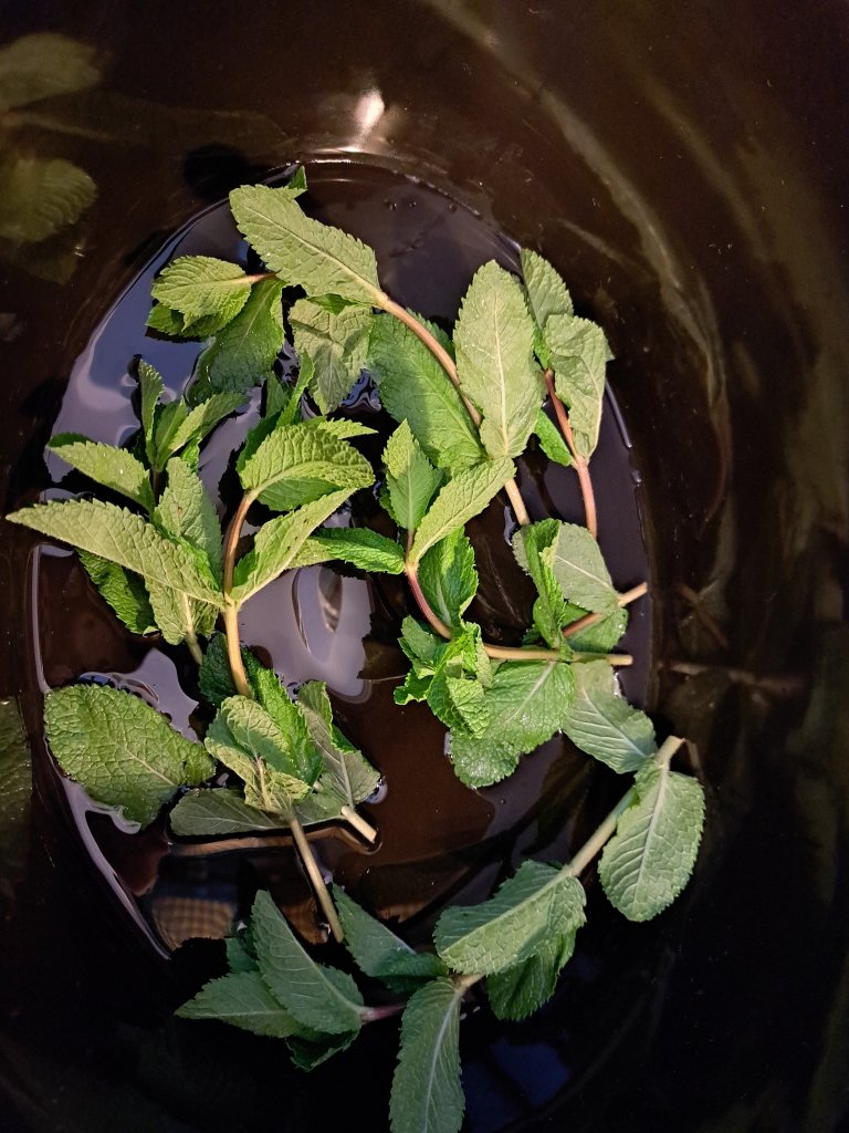 Ухае на… пълнено агне с боб по новаченски